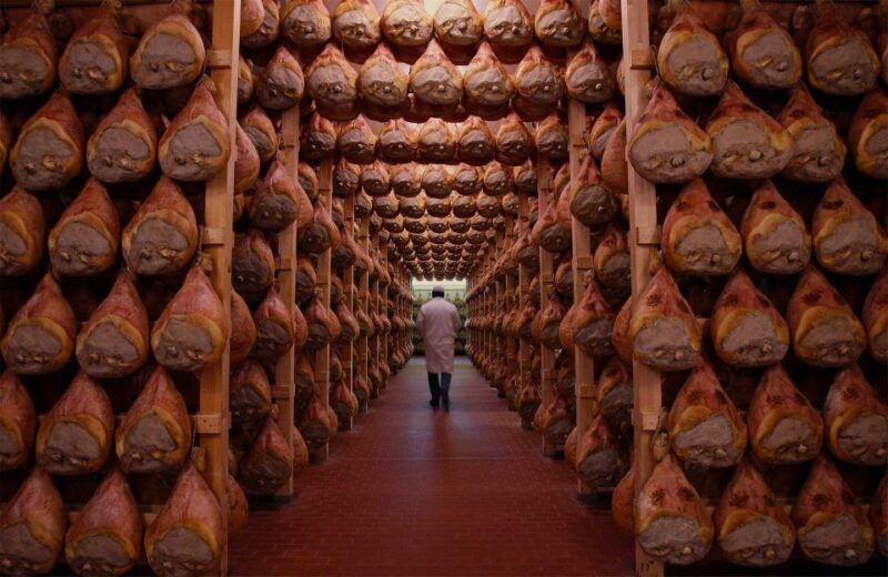 from-bologna-parma-cheese-ham-factory-tours-and-tastings