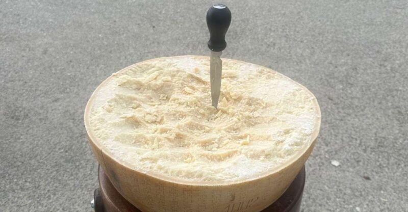 from-bologna-parmesan-cheese-balsamic-vinegar-tourlunch-2