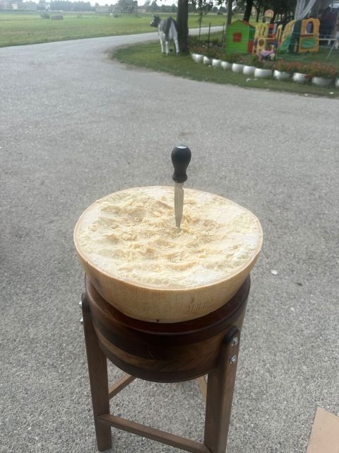 from-bologna-parmesan-vinegar-lambrusco-with-transfer