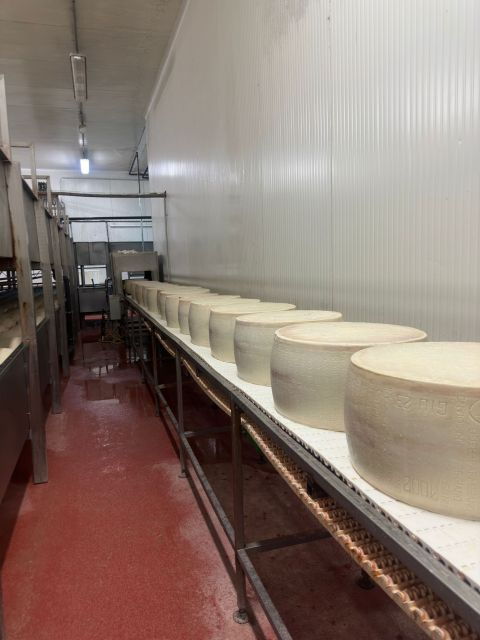 from-bologna-parmesan-vinegar-lambrusco-with-transfer