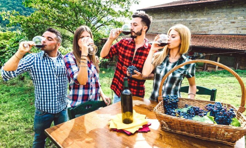 from-bologna-wine-experience-colli-bolognesi