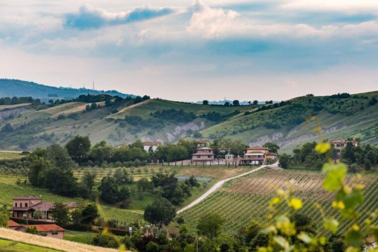from-bologna-wine-experience-colli-bolognesi