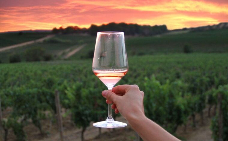 from-bologna-wine-experience-colli-bolognesi