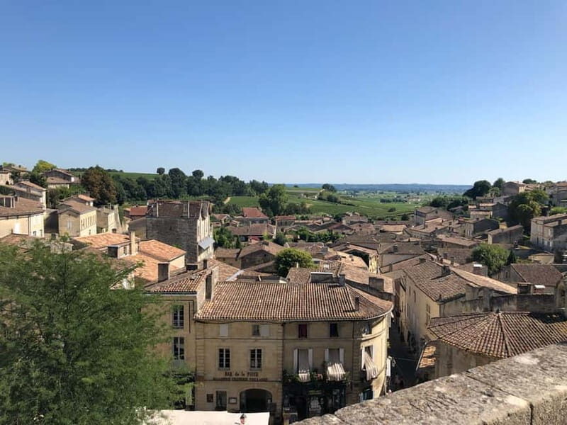 From Bordeaux: A day to visit the Medoc and Saint-Emilion - Exploring Bordeauxs Iconic Vineyards