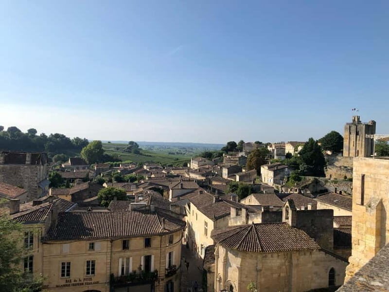 From Bordeaux: A day to visit the Medoc and Saint-Emilion - Practical Details: What You Need to Know