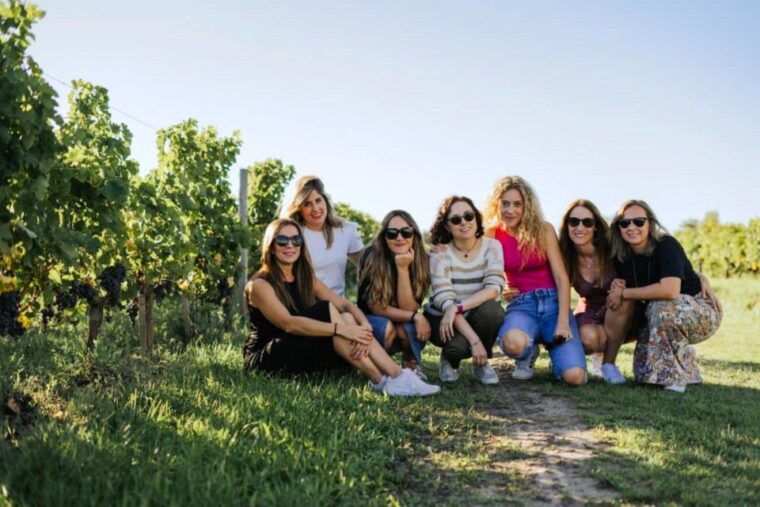 from-bordeaux-afternoon-saint-emilion-wine-tasting-trip