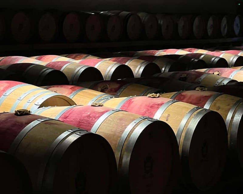 From Bordeaux: Afternoon Wine Tasting in the Medoc Region - What We Really Love (and What to Consider)