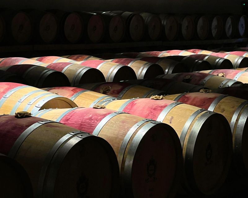 from-bordeaux-afternoon-wine-tasting-in-the-medoc-region