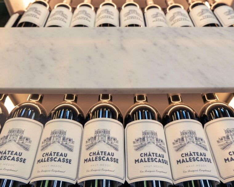 from-bordeaux-afternoon-wine-tasting-in-the-medoc-region