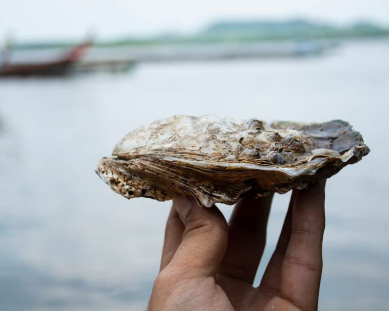 from-bordeaux-arcachon-bay-afternoon-and-seafood