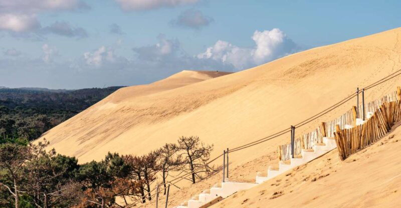 from-bordeaux-arcachon-bay-full-day-tour-and-oyster-lunch