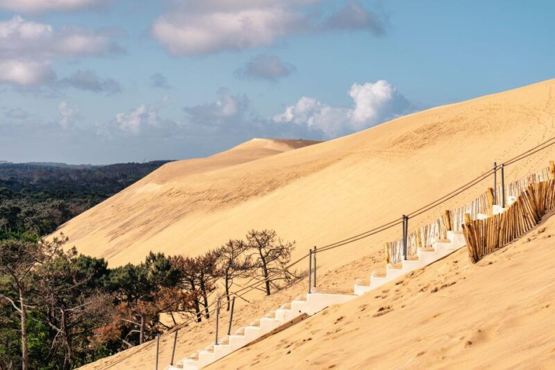 from-bordeaux-arcachon-bay-full-day-tour-and-oyster-lunch