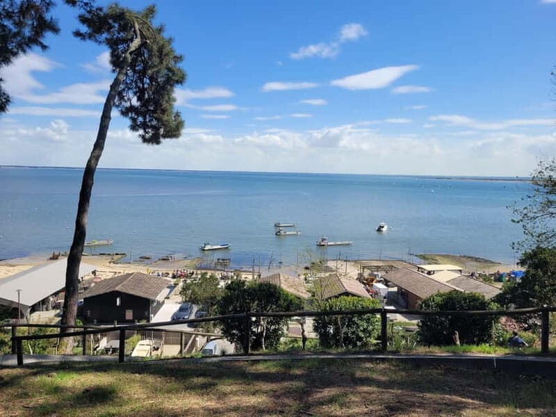 From Bordeaux: Cap Ferret Peninsula Private Tour, Ocean and Oyster Village - Considering the Cost and Value