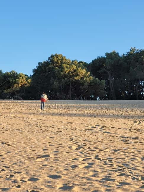 From Bordeaux: Dune du Pilat Sunset Tour (w/ Pilates option) - The Sum Up