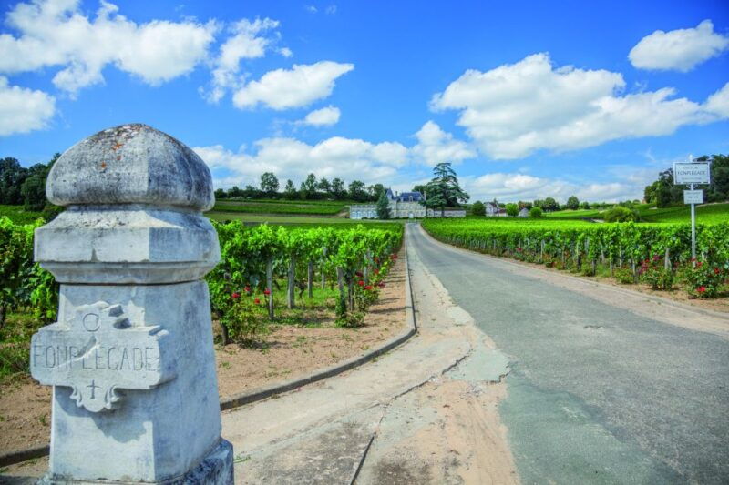 from-bordeaux-full-day-st-emilion-wine-tasting-tour