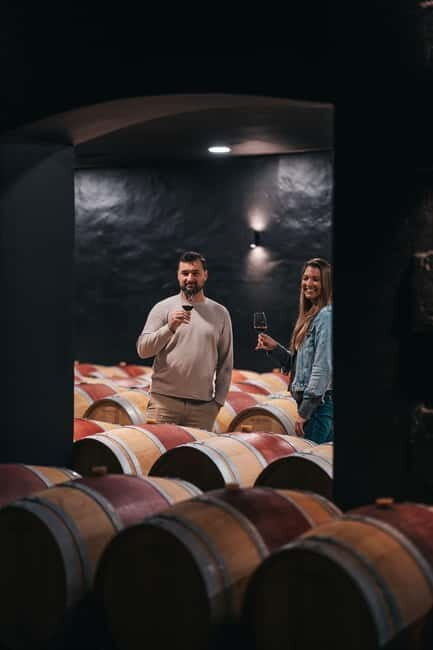 From Bordeaux: Half-Day Saint-Émilion Tour and Wine Tasting - Overview of the Experience