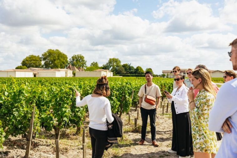 from-bordeaux-half-day-saint-emilion-tour-and-wine-tasting