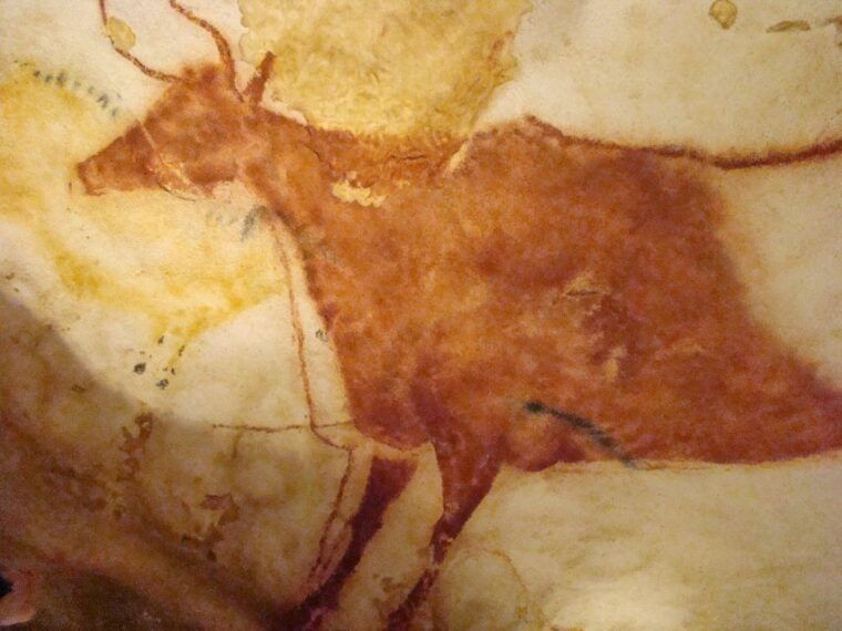 from-bordeaux-lascaux-and-dordogne-valley-private-tour