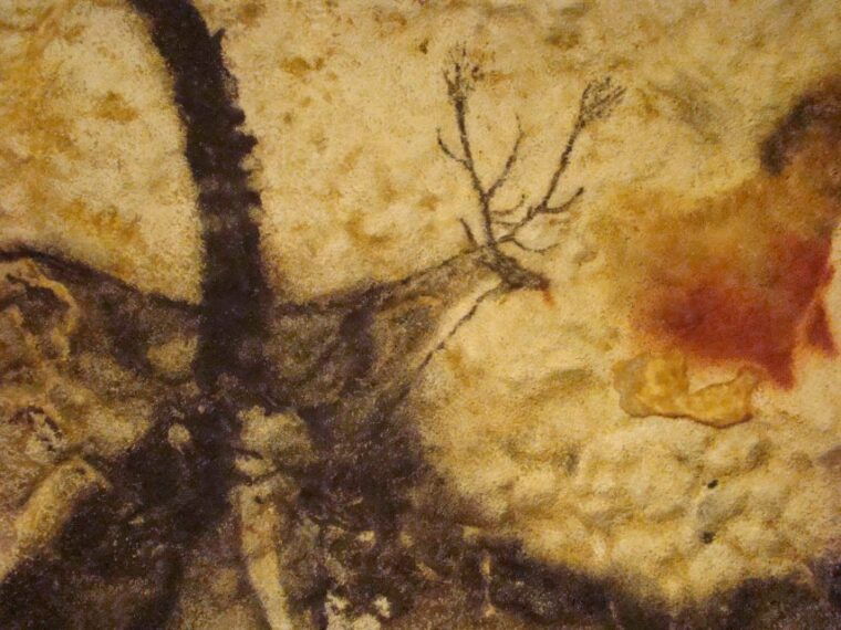 from-bordeaux-lascaux-and-dordogne-valley-private-tour