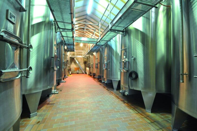 from-bordeaux-medoc-half-day-wine-tour