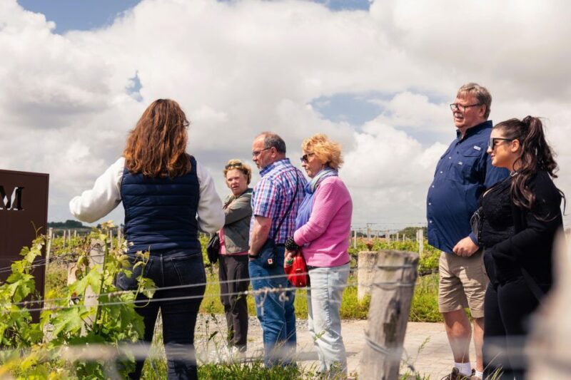 from-bordeaux-medoc-winery-morning-tour-with-wine-tasting