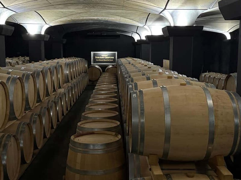 From Bordeaux: Private Tour in the Chateaux of Saint-Émilion - Exploring the Charm of Bordeaux’s Saint-Émilion with a Private Châteaux Tour