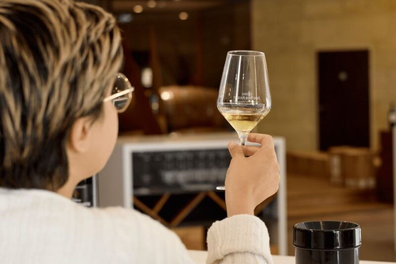 from-bordeaux-private-wine-tour-to-saint-emilion