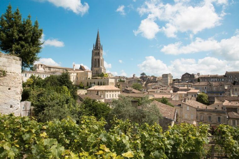 from-bordeaux-private-wine-tour-to-saint-emilion