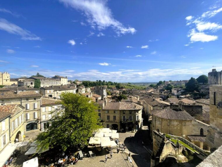 from-bordeaux-saint-emilion-day-trip-with-lunch-and-wine