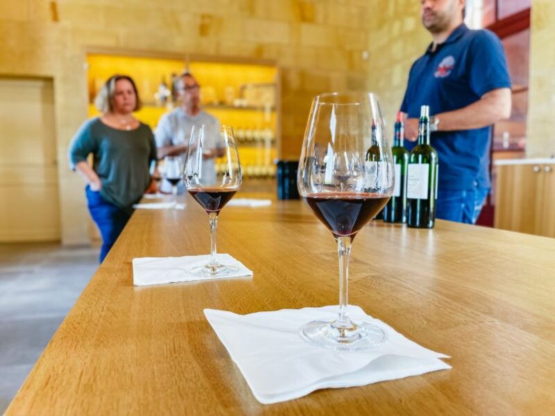 from-bordeaux-saint-emilion-guided-wine-tasting-tour
