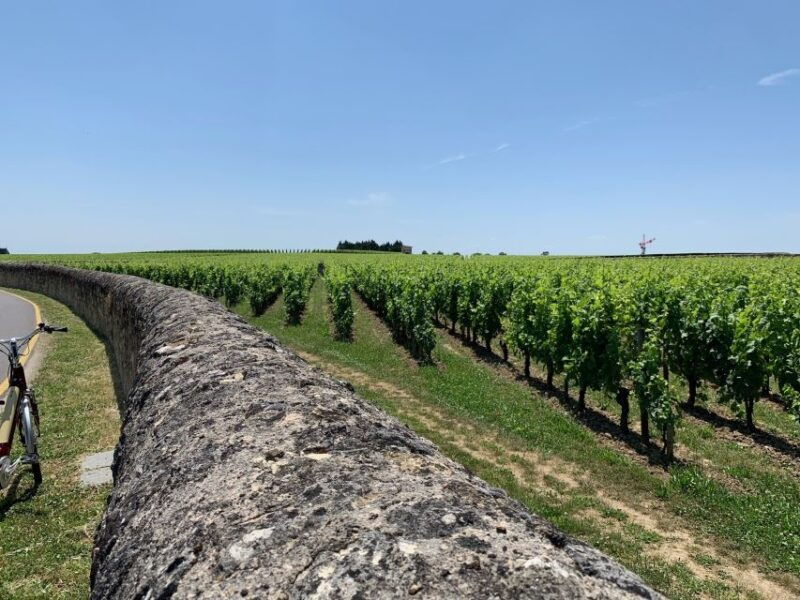 from-bordeaux-saint-emilion-guided-wine-tasting-tour