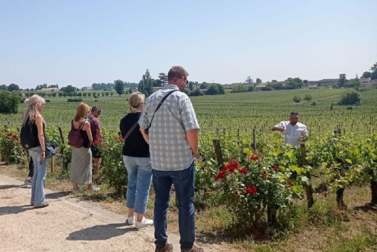 from-bordeaux-saint-emilion-guided-wine-tasting-tour