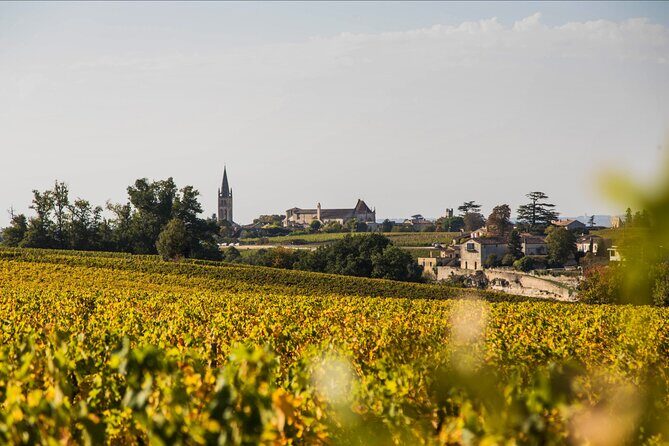 From Bordeaux: Saint-Émilion Half-Day Trip with Wine Tasting - Final Thoughts
