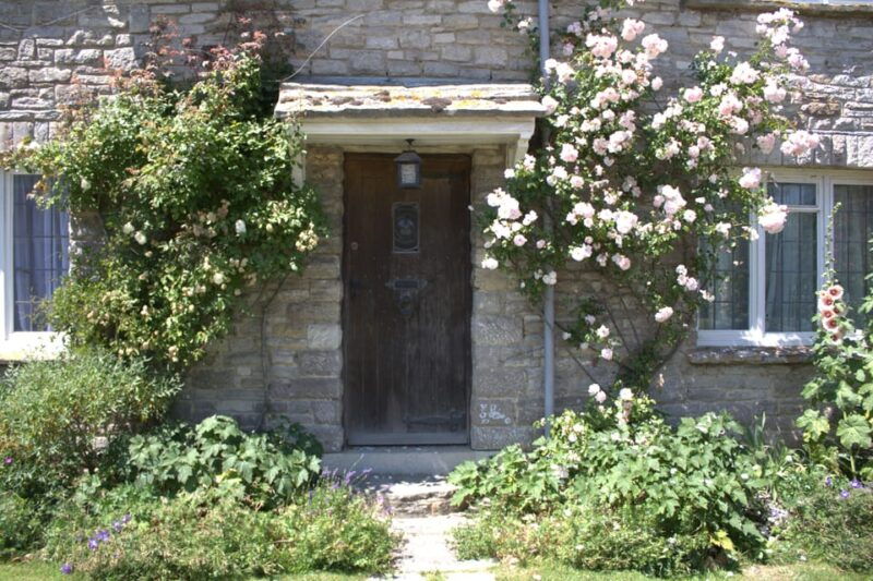 from-bournemouth-jurassic-coast-isle-of-purbeck-day-tour