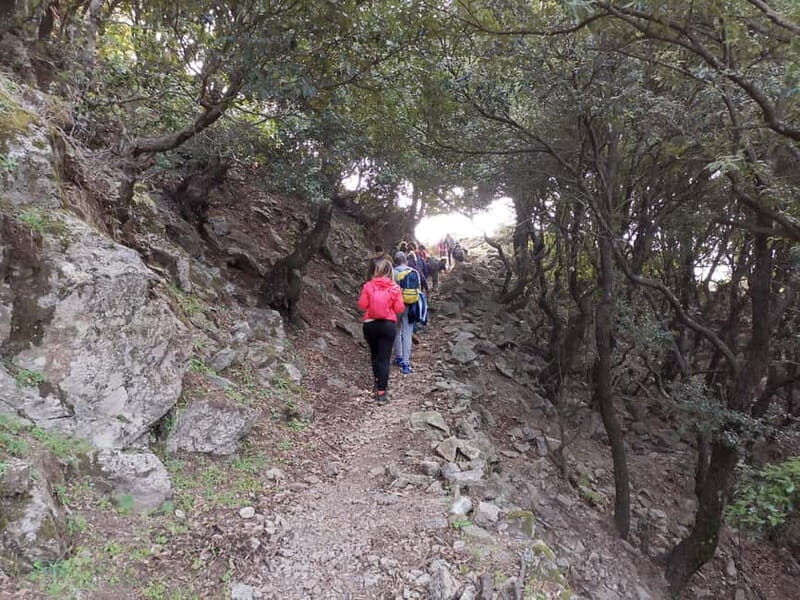 From Bova: Private Trek to Aspromonte National Park - What the Tour Entails
