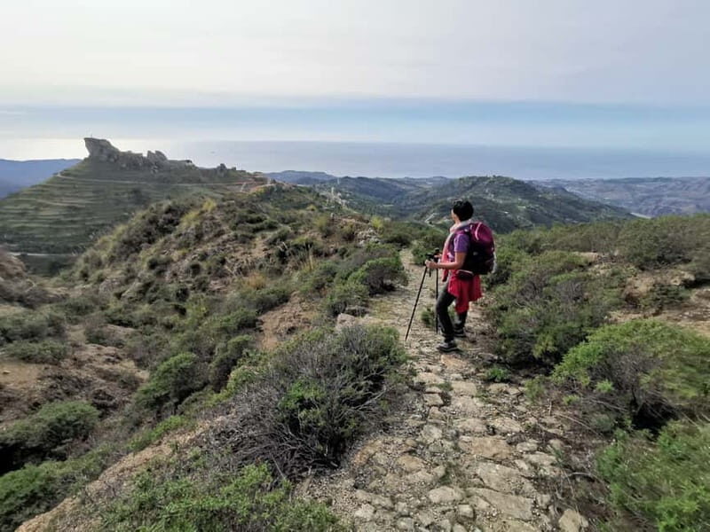 From Bova: Private Trek to Aspromonte National Park - Who Should Consider This Tour?
