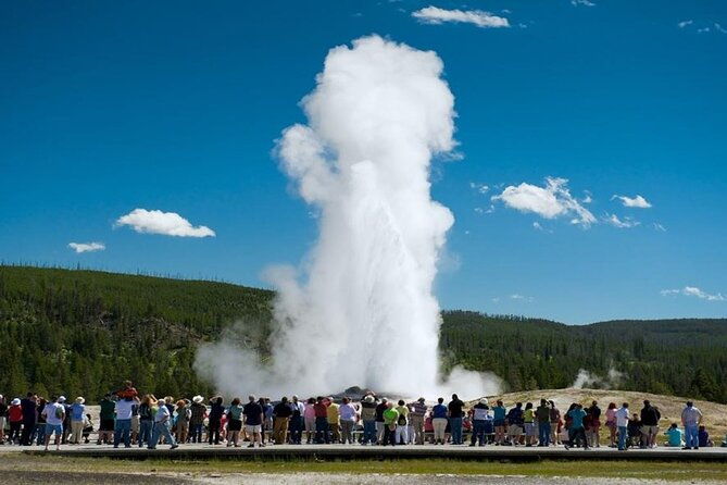 from-bozeman-exclusive-yellowstone-tour-2-days-and-1-night