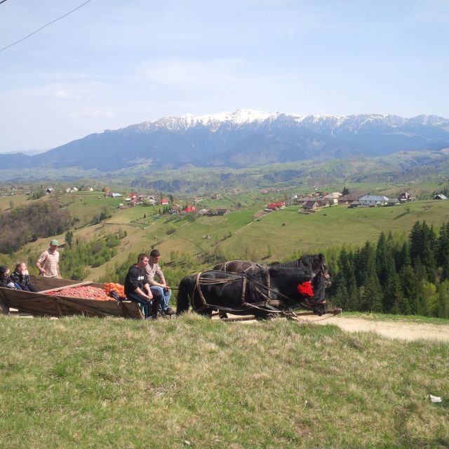 From Braov: Half or Full Day Transylvania Jeep Tour - A Detailed Look at the Transylvania Jeep Tour