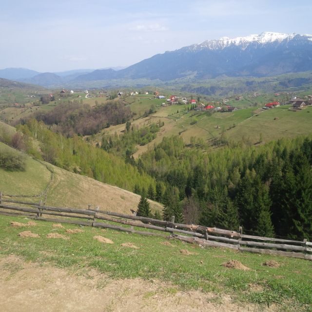 From Braov: Half or Full Day Transylvania Jeep Tour - Who Will Benefit Most from This Tour?