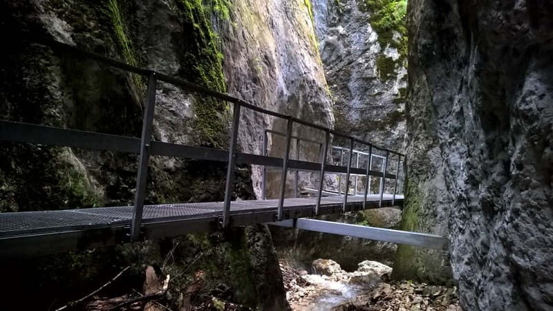 From Brasov: Day Trip to the Seven Ladders Canyon - Key Points