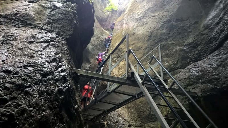 From Brasov: Day Trip to the Seven Ladders Canyon - The Value of This Experience