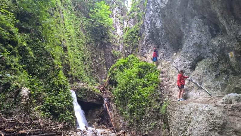 From Brasov: Day Trip to the Seven Ladders Canyon - Who is This Tour Best Suited For?