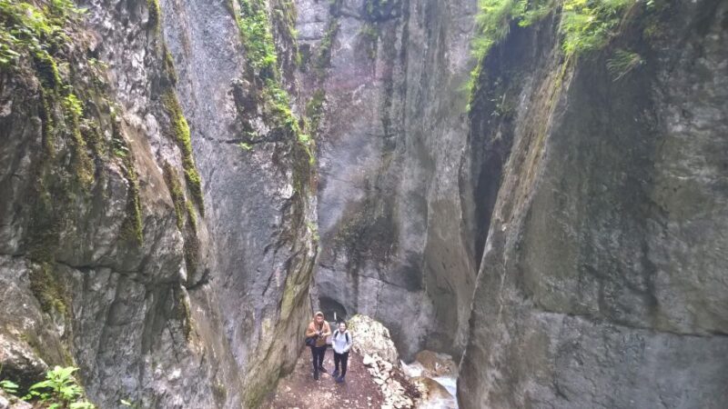 From Brasov: Day Trip to the Seven Ladders Canyon - Final Thoughts