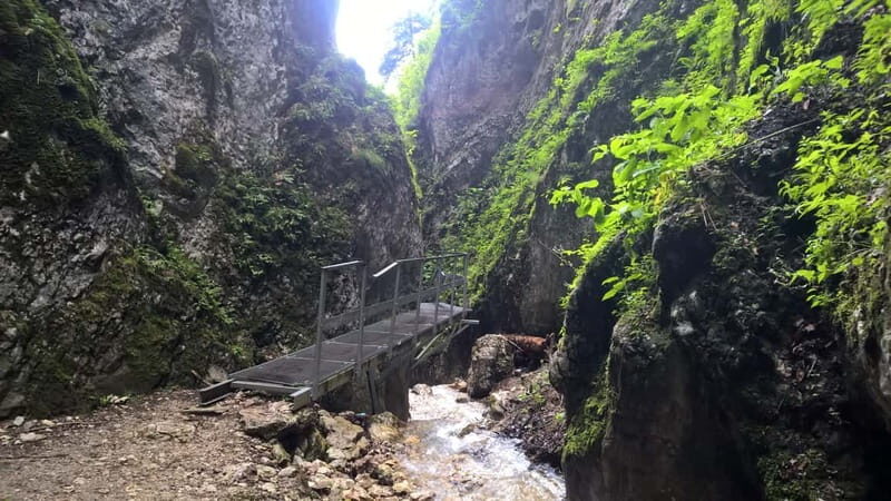 From Brasov: Day Trip to the Seven Ladders Canyon - FAQ