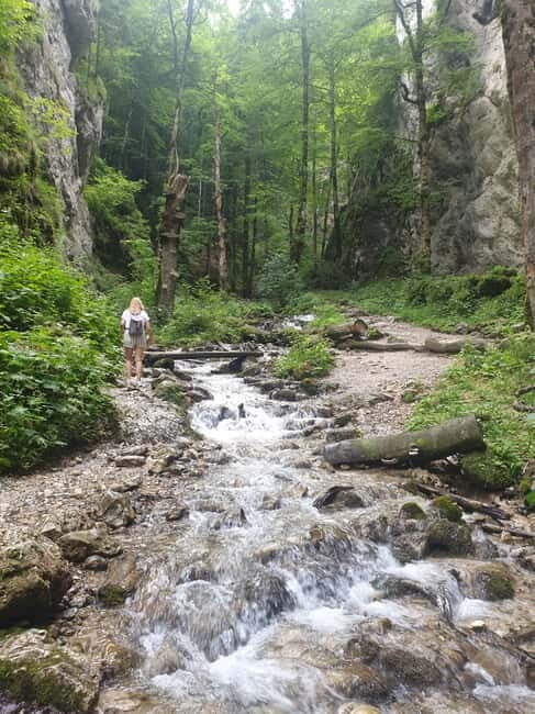 From Brasov : Hiking in Piatra Craiului National Park - Key Points  