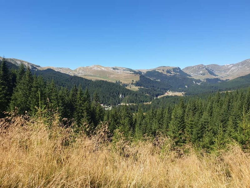 From Brasov : Hiking in Piatra Craiului National Park - Final Thoughts: Is This Tour Right for You?  