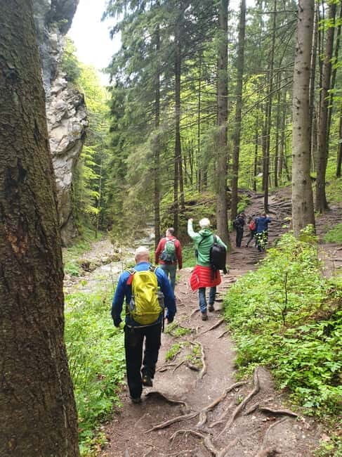From Brasov : Hiking in Piatra Craiului National Park - FAQs  
