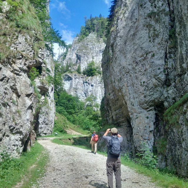 from-brasov-piatra-craiului-national-park-2-day-guided-trek