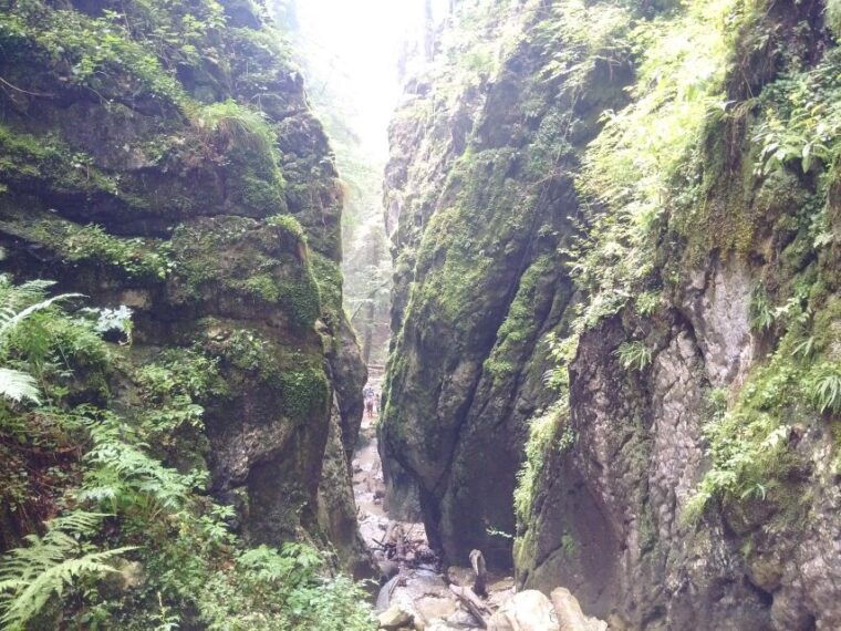 from-brasov-piatra-craiului-national-park-2-day-guided-trek