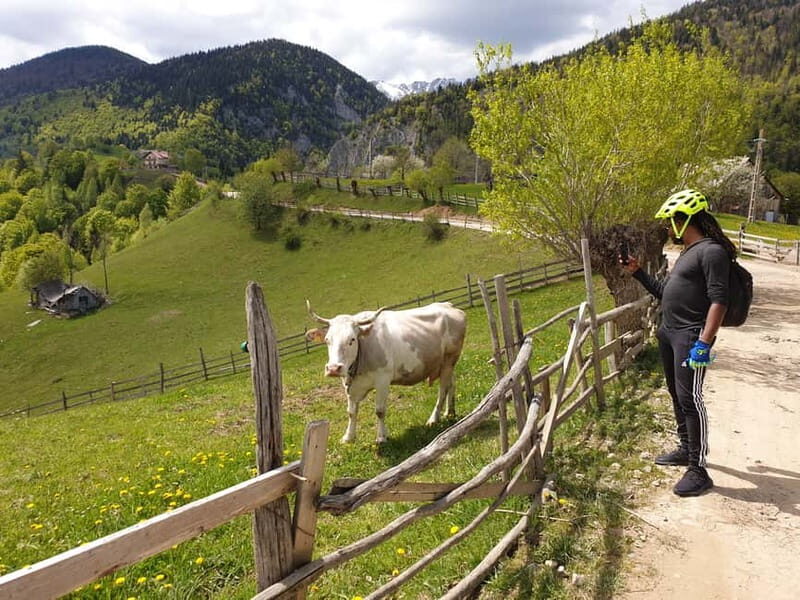 From Brasov : Piatra Craiului National Park on Ebike - Practical Details: What to Expect and How to Prepare